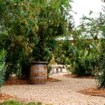 Ceremony Yard Entrance